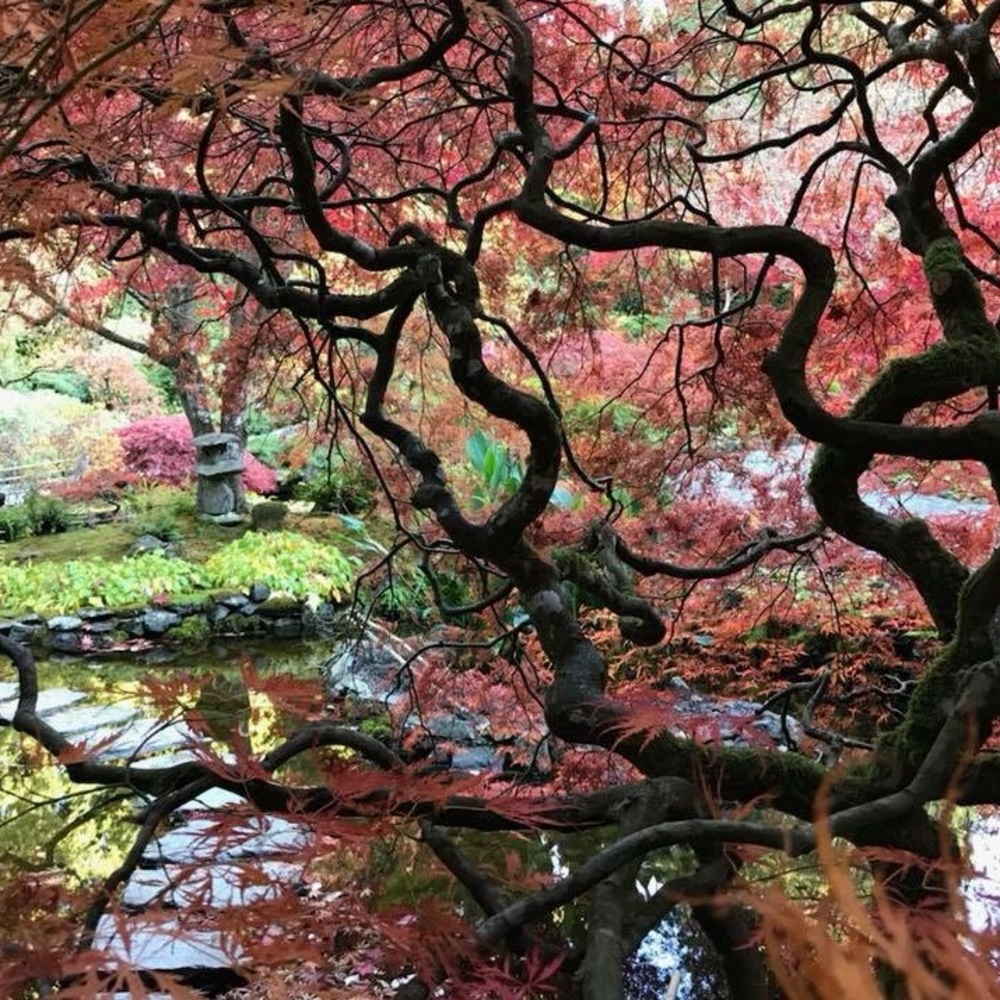 Meet your Posher, Phung